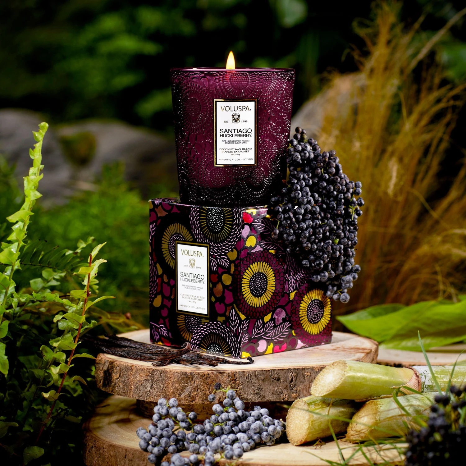 Voluspa Santiago Huckleberry - Classic Candle 4 Voluspa Santiago Huckleberry - Classic Candle - Image 2