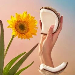 Voluspa Crisp Champagne - Hand Lotion -Voluspa S23 HAND LOTION ALL WEB 7eef9857 8eeb 40e3 9ee5 e80fb8df2d84