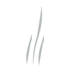 Voluspa - Sparkling Rose Travel Tin Candle