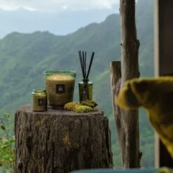 Voluspa - Temple Moss Luxe Diffuser -Voluspa f23 lfopt 72835 74235 73335 002 2 1