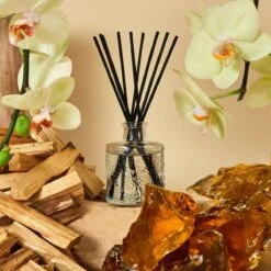 Voluspa - Baltic Amber Diffuser -Voluspa fa21 ing baltic 7253 web